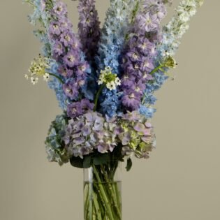 Blue flowers