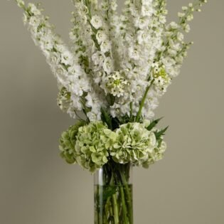 White roses
