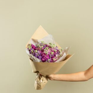 بوكيه ورد موف فاتح