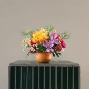 colorful flowers