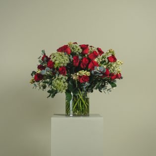 Ammi-zing-Rose